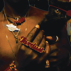 SAUL WILLIAMS - THE INEVITABLE RISE AND LIBERATION OF NIGGY TARDUST! (2xLP)