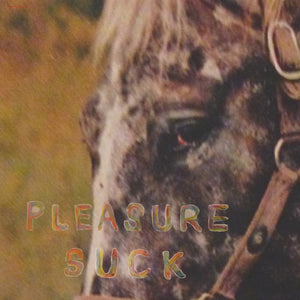 SPIRIT OF THE BEEHIVE - PLEASURE SUCK (LP/CASSETTE)