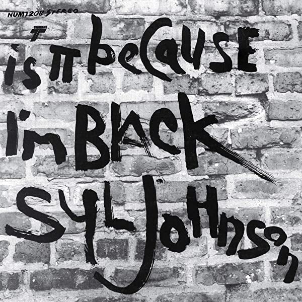 SYL JOHNSON - IS IT BECAUSE I'M BLACK (LP)