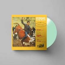 Load image into Gallery viewer, PARQUET COURTS - LIGHT UP GOLD (LP)
