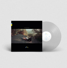 Load image into Gallery viewer, ROSTAM - CHANGEPHOBIA (LP)
