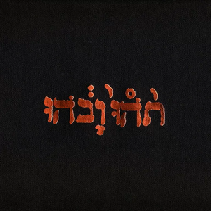 GODSPEED YOU! BLACK EMPEROR - SLOW RIOT FOR NEW ZERO KANADA (12" EP)