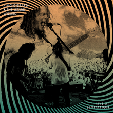 Load image into Gallery viewer, KING GIZZARD &amp; the LIZARD WIZARD - LIVE AT LEVITATION (2xLP)
