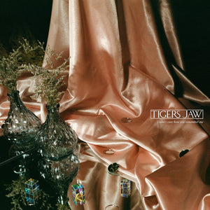 TIGERS JAW - I WON'T CARE HOW YOU REMEMBER ME (LP)