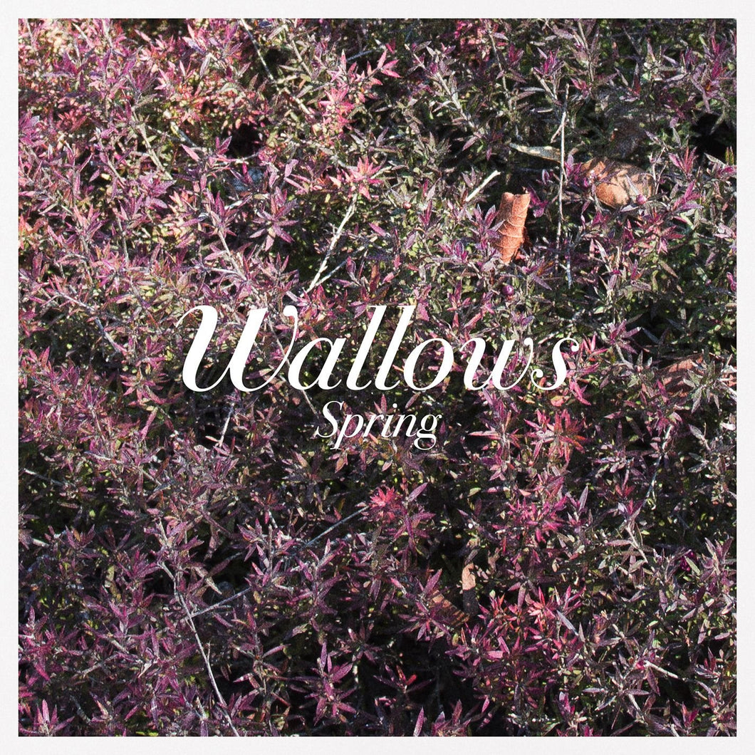 WALLOWS - SPRING (12
