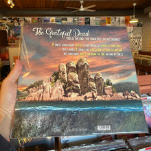 Load image into Gallery viewer, GRATEFUL DEAD - THIS IS THE END (LP)
