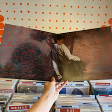 Load image into Gallery viewer, [USED] PERFUME GENIUS - NO SHAPE (2xLP)
