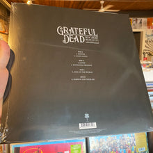 Load image into Gallery viewer, GRATEFUL DEAD - NEW JERSEY BROADCAST 1977 VOLUME TWO (2xLP)
