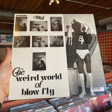 Load image into Gallery viewer, BLOW FLY - THE WEIRD WORLD OF BLOW FLY (LP)
