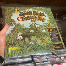 Load image into Gallery viewer, BEACH BOYS - SMILEY SMILE (ANALOGUE PRODUCTIONS LP)
