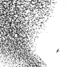 Load image into Gallery viewer, [AUTOGRAPHED] WILCO - SKY BLUE SKY (2xLP)
